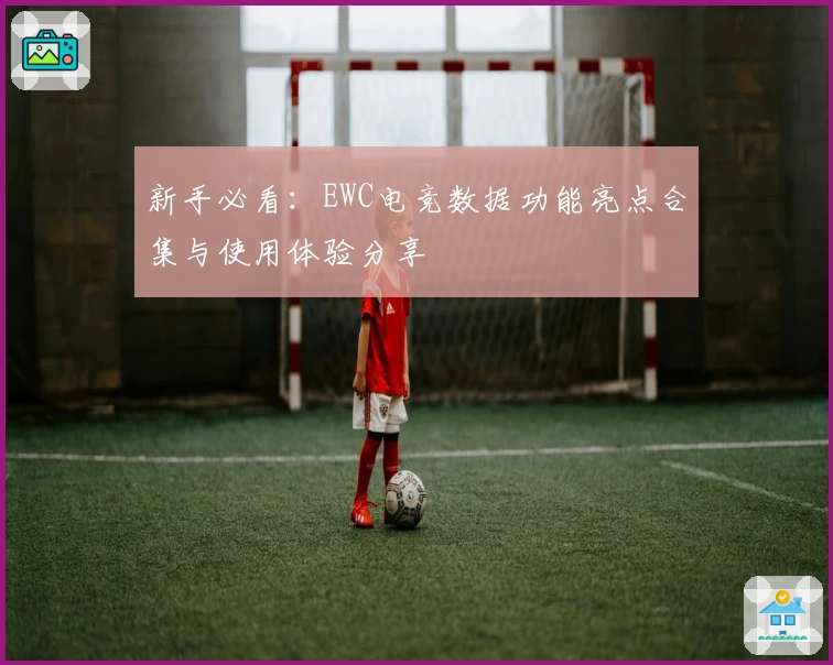 新手必看：EWC电竞数据功能亮点合集与使用体验分享