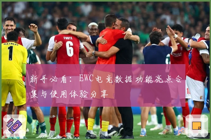 新手必看：EWC电竞数据功能亮点合集与使用体验分享
