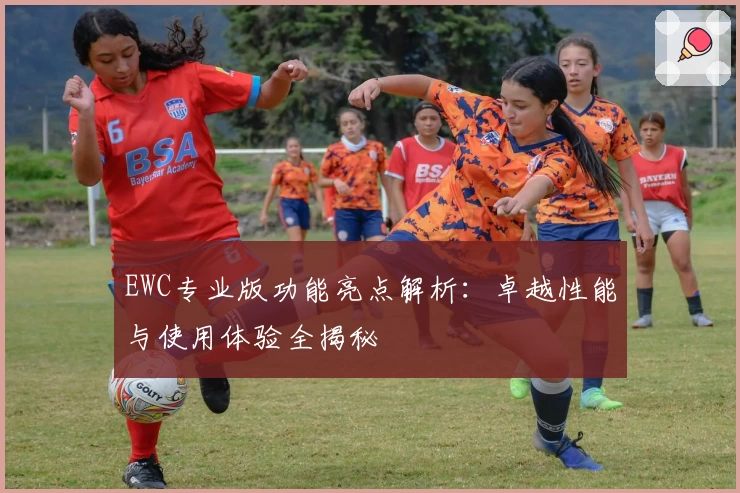 EWC专业版功能亮点解析：卓越性能与使用体验全揭秘