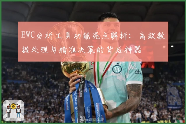 EWC分析工具功能亮点解析：高效数据处理与精准决策的背后神器